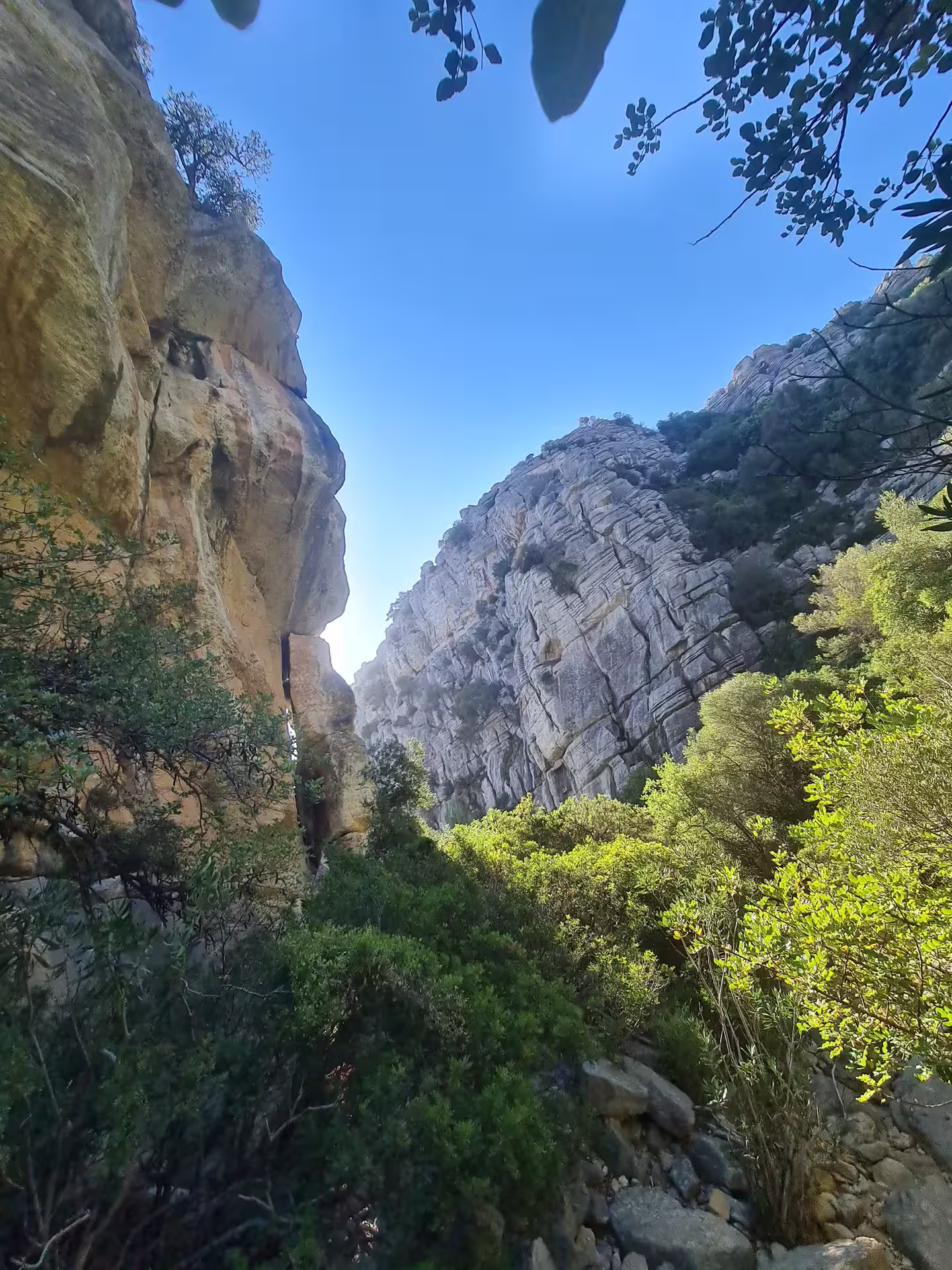 Scenic view of sunlit cliffs and dense vegetation in Canuto de la Utrera, ideal for private hiking experiences.