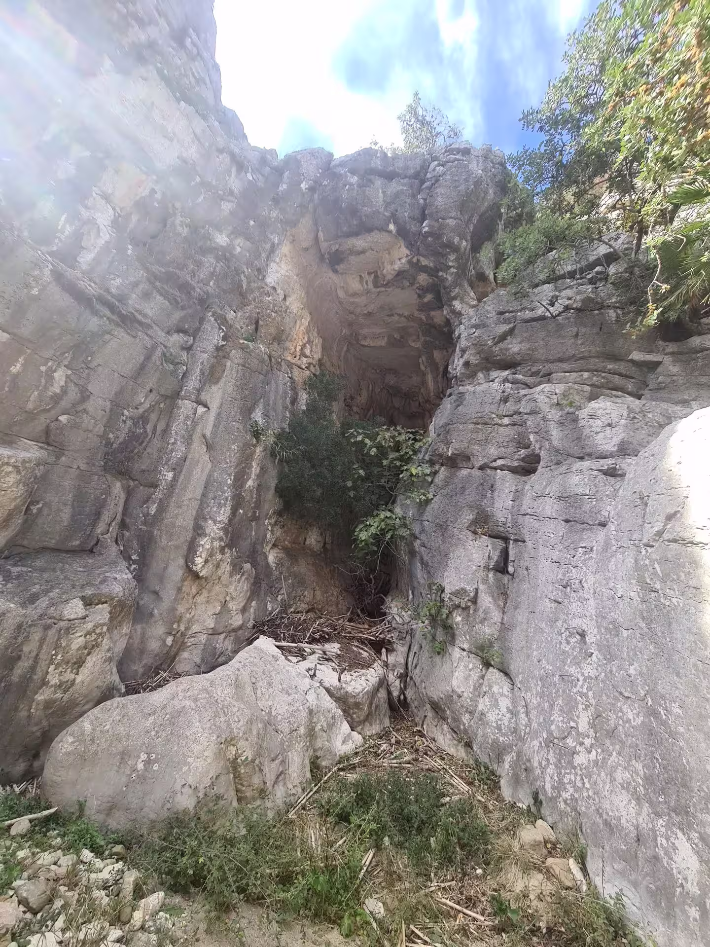Explore the rugged limestone cliffs of Canuto de la Utrera on a private hiking tour amidst lush greenery.