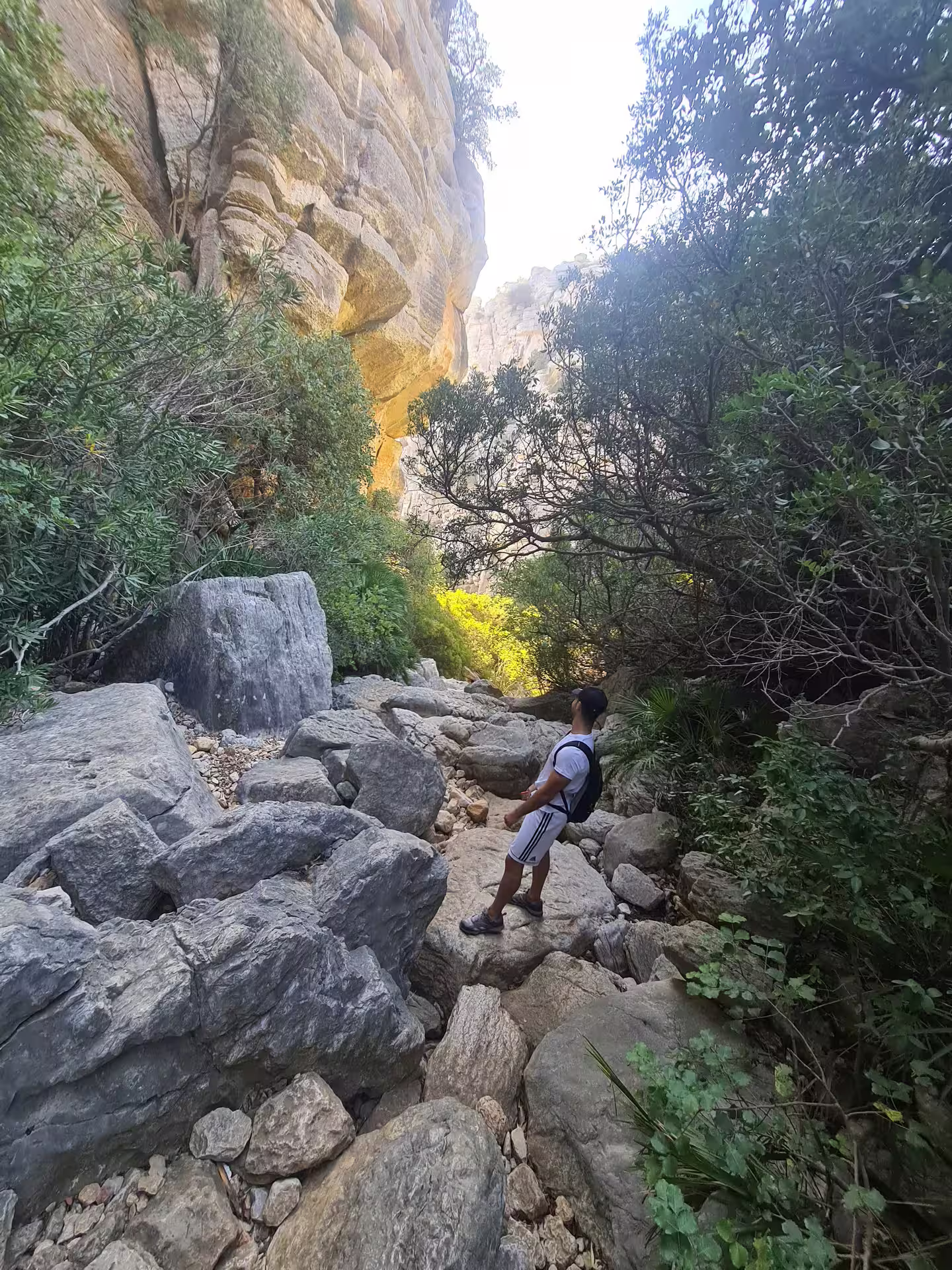 Hiker exploring the rocky trails and lush greenery of Canuto de la Utrera during a private hiking tour.