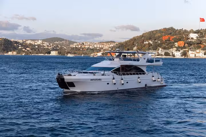 Private Istanbul Bosphorus yacht cruise with luxury motor yacht gliding past waterfront hills and villas