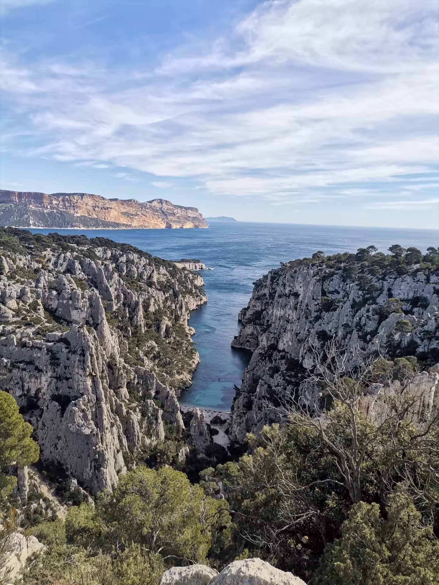 Panoramic Calanques coastline in Provence with limestone cliffs and turquoise inlets on a guided hiking tour