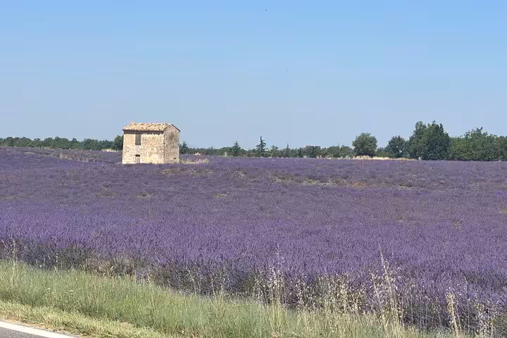Stone farmhouse amid blooming Provence lavender fields, ideal stop on a private full-day lavender tour
