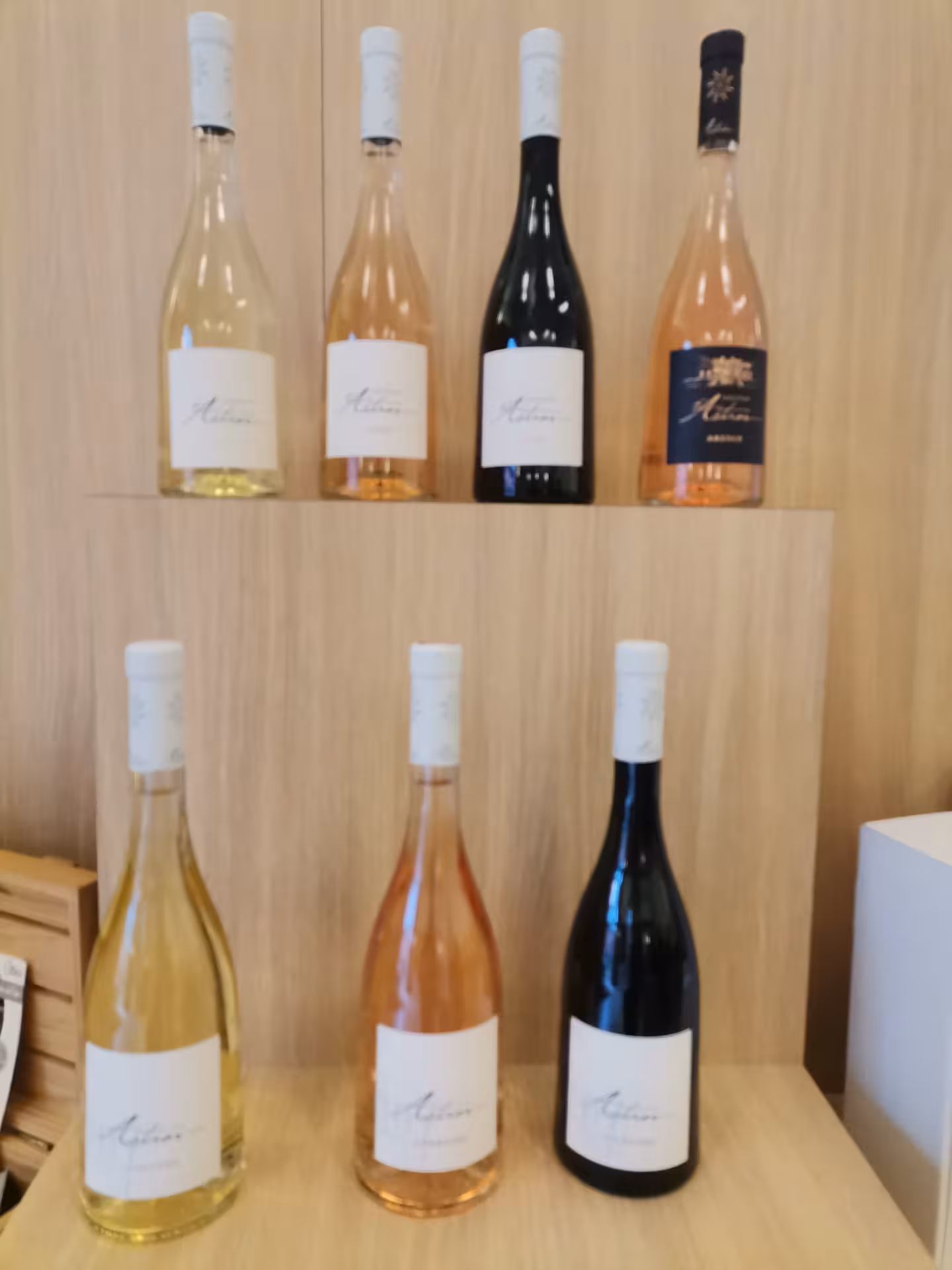 Close-up of Provence wine bottles for tasting on Saint-Tropez countryside AOP Côtes de Provence tour