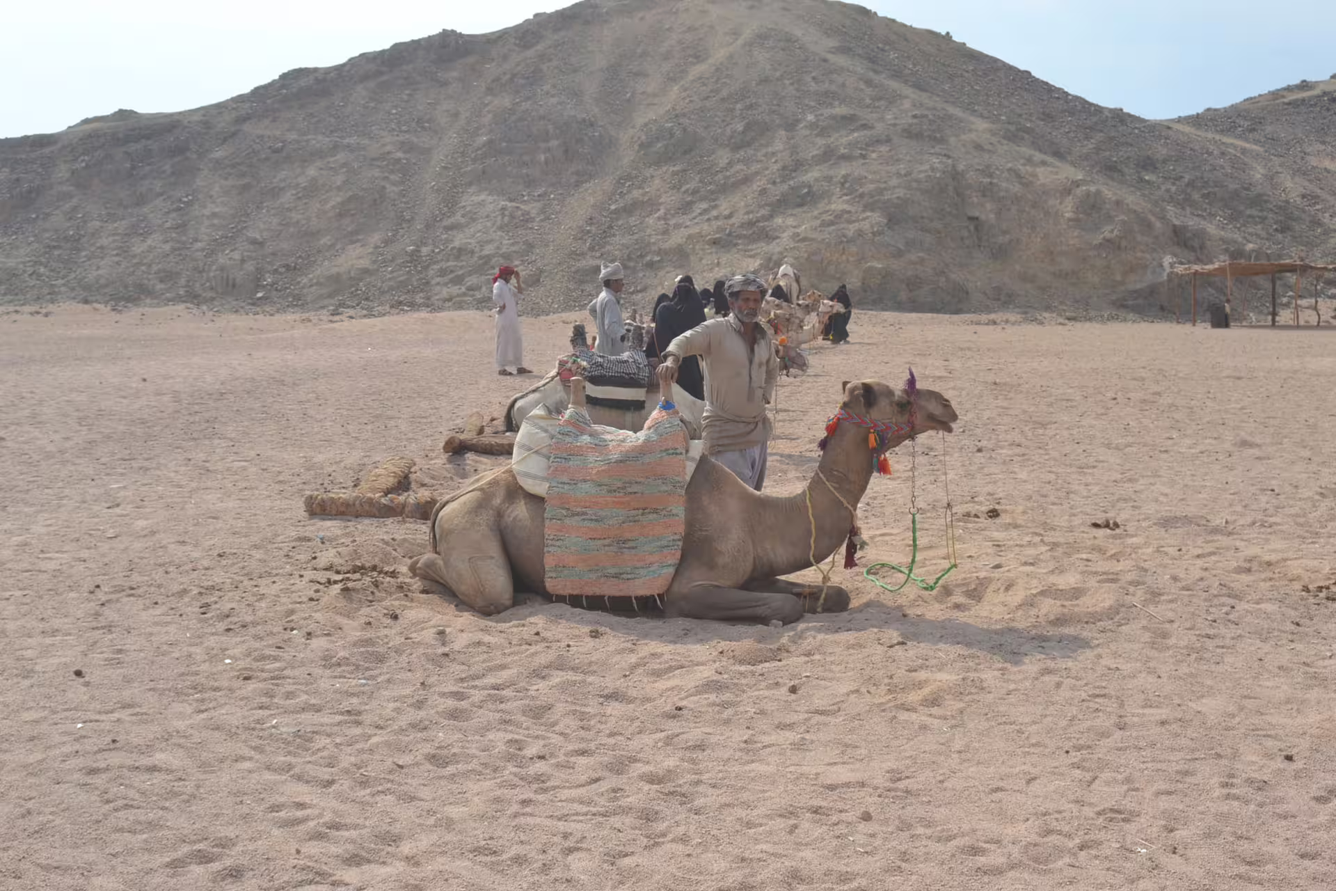 Camel resting at Bedouin camp stop on Hurghada quad tour, Egypt, with desert mountains in the background