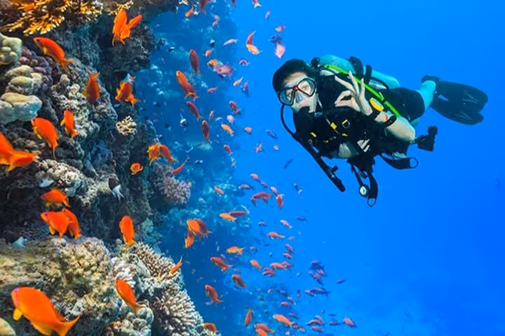 Diver exploring Ras Mohamed coral reef with colorful Red Sea fish on snorkeling cruise from Sharm El Sheikh