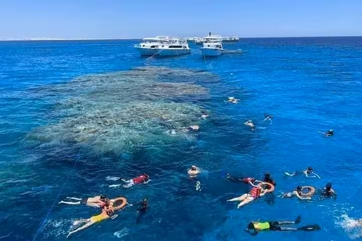 Snorkelers in Ras Mohamed National Park reef near Sharm El-Sheikh, with boats on Red Sea tour