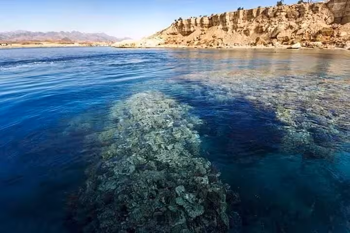 Crystal-clear Ras Mohammed reef waters on VIP cruise to White Island, Sharm El Sheikh snorkeling day