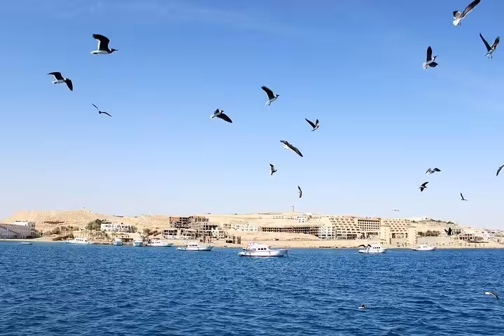 Red Sea cruise view from Hurghada with boats offshore and seabirds flying, en route to Dolphin House