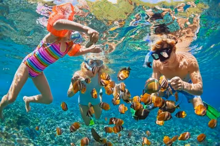 Snorkeling with colorful reef fish on a private 4-hour Red Sea speedboat tour from Hurghada
