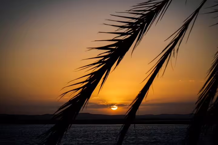 Red Sea sunset framed by palm leaves, relaxing beach view on a 4-day Cairo and Red Sea holiday package