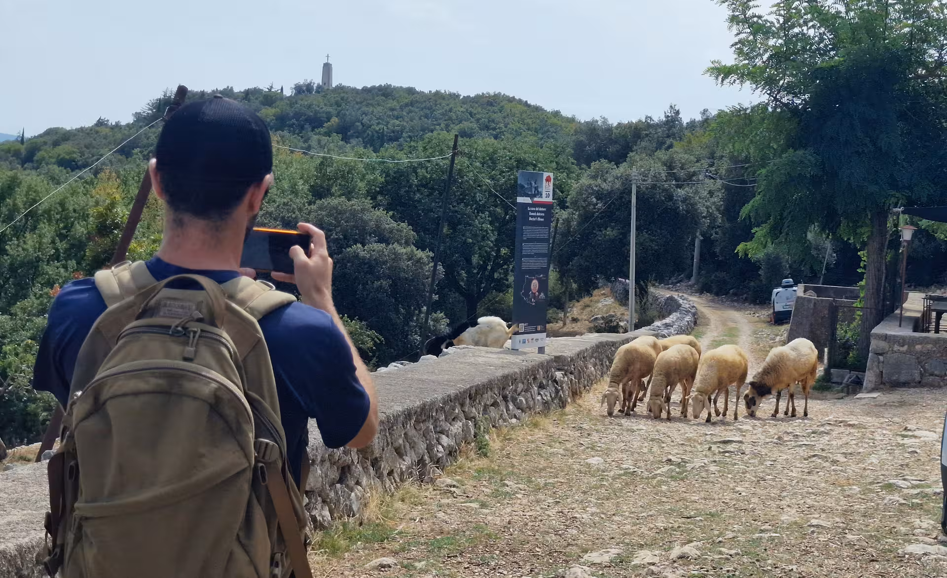 Traveler photographing sheep on scenic trail at L'Anello della Collina Imprendibile, surrounded by lush greenery.