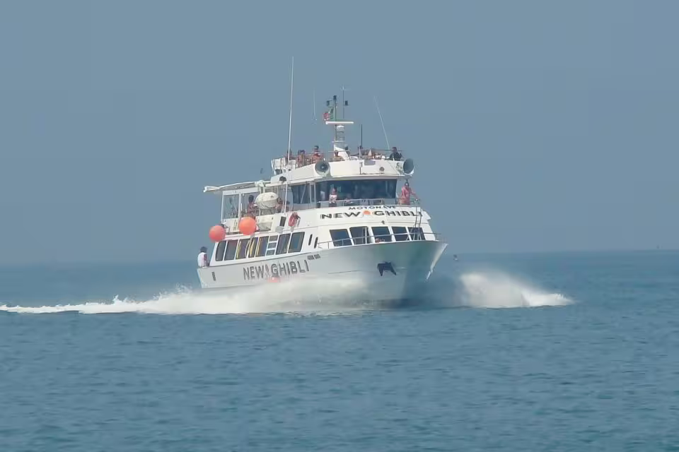 Riviera Romagnola half-day boat tour speeding across the Adriatic Sea, motorboat with open-air deck