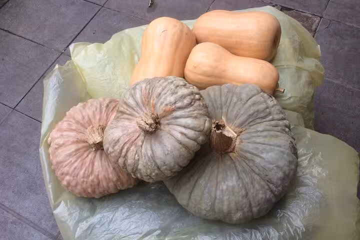 Assorted pumpkins on display during the Rome Pigneto Craft Beer Private Tour, showcasing local flavors.