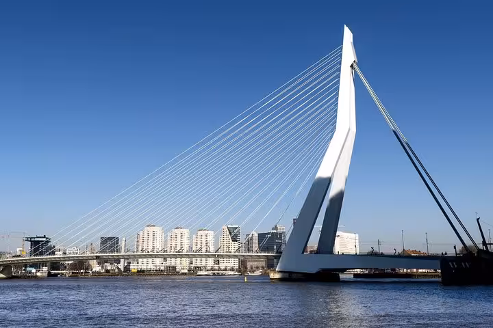 Rotterdam Erasmus Bridge over the Maas River, highlight stop on private day tour from Amsterdam