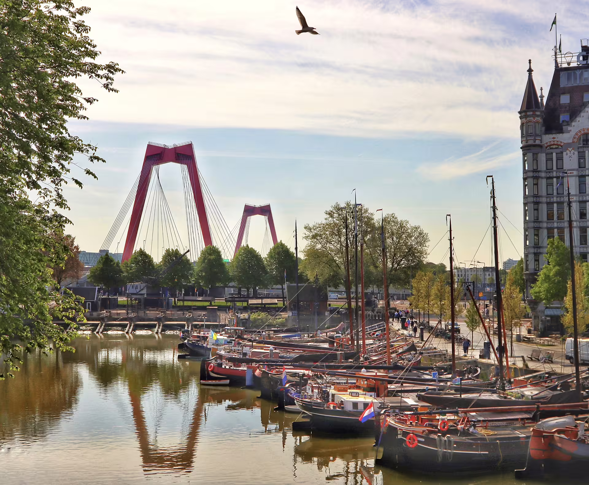 Rotterdam Old Harbour boats with Willemsbrug in view, scenic stop on 1-day walking audioguide tour