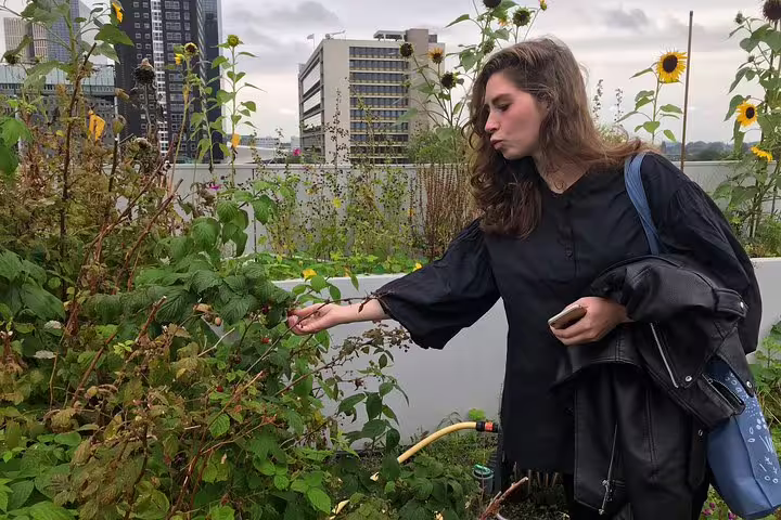 Traveler exploring a rooftop urban garden in Rotterdam, a sustainable highlight of the Future Walking Tour