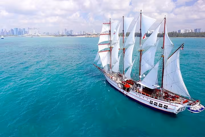 The majestic Royal Albatross sailing against a backdrop of blue seas and city skyline, perfect for sunset cruises.