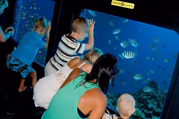 Family watching colorful Red Sea fish through Royal Seascope submarine windows on Sharm El-Sheikh tour