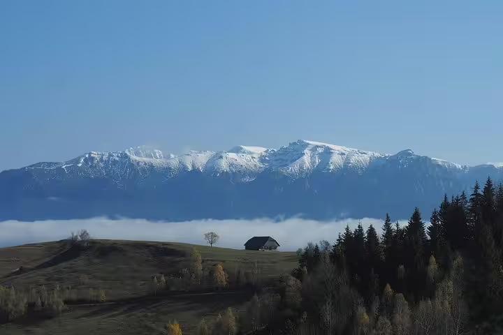 Snow-capped Carpathian mountains above low clouds with a lone farmhouse and evergreen trees in rural Romania