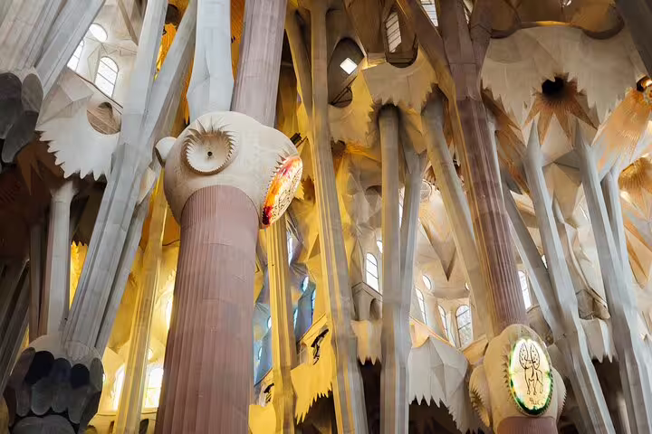 Intricate interior columns of Sagrada Familia, showcasing Gaudí's architectural genius on a private guided tour.