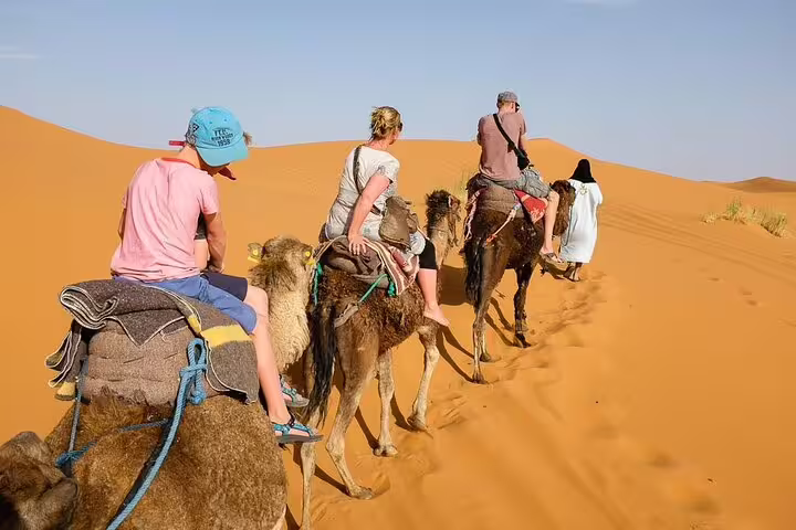 Camel trek across Sahara dunes at sunset, Merzouga desert experience on 9-day Tangier to Marrakech tour