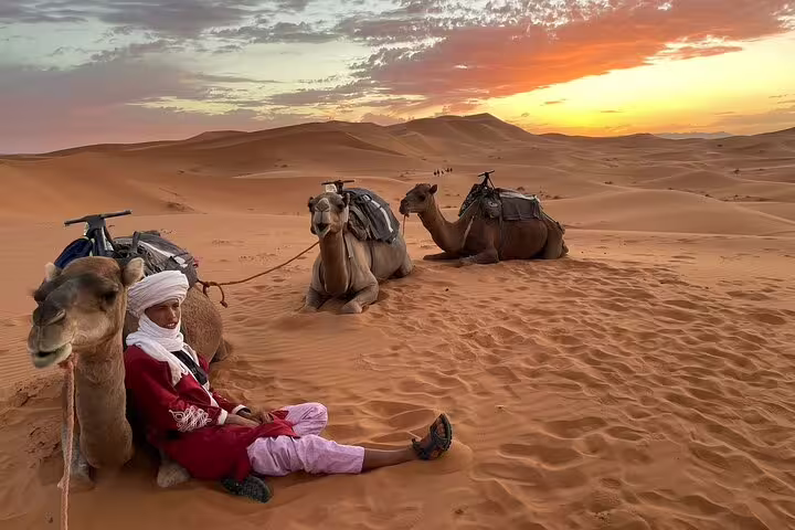 Sahara desert camel trek at sunset in Merzouga dunes on Morocco 10 days tour from Casablanca