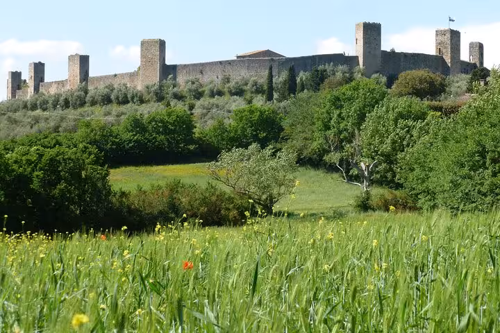View of the medieval fortress in San Gimignano, Tuscany, surrounded by lush greenery on a sunny day.