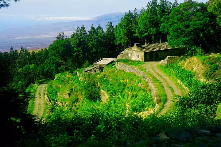 Lush green terraces and rustic buildings on the scenic paths of Santo Antão island.