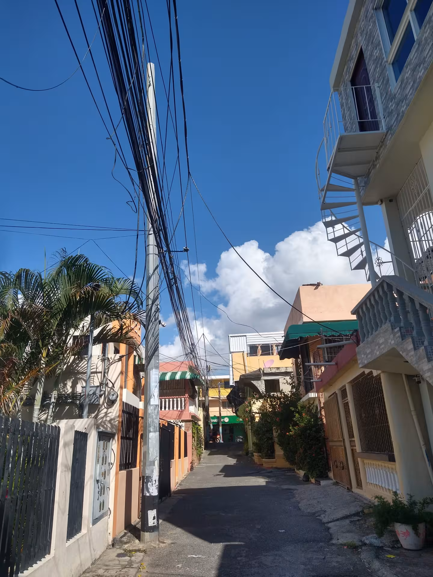 Quiet Santo Domingo neighborhood street with pastel houses and palm trees, authentic Dominican Republic experience
