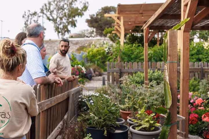 Guests tour a Santorini farm garden with local guide, exploring authentic villages and fresh lunch experience