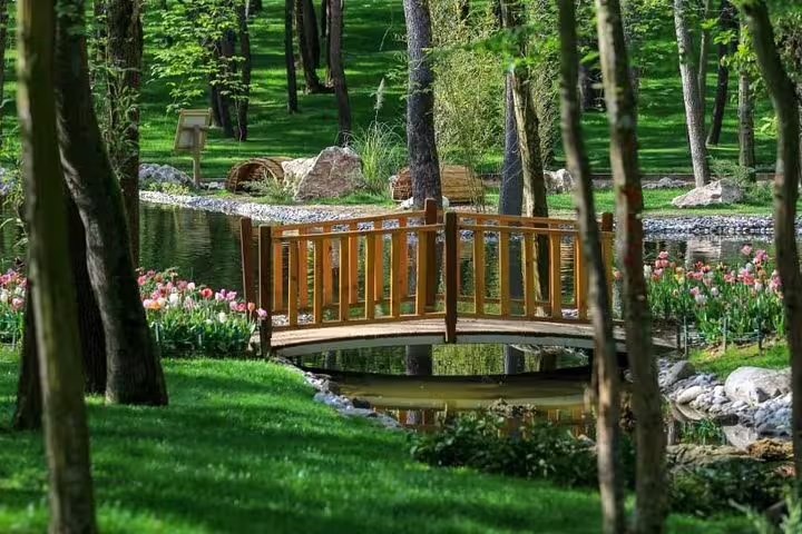 Wooden bridge over a pond in Sapanca, a peaceful nature highlight on a private day tour from Istanbul