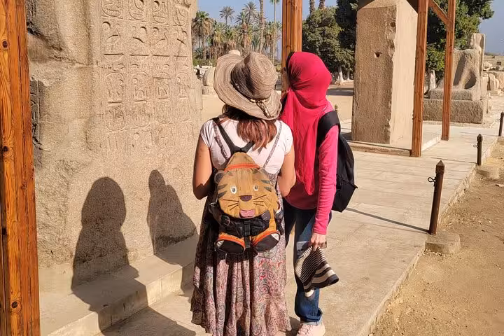 Visitors study ancient hieroglyphs at Memphis on a Saqqara and Dahshur pyramids tour, supporting stray animals