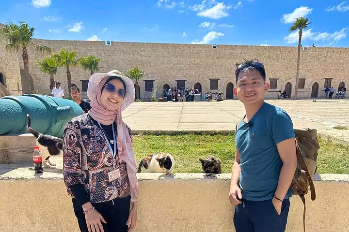 Tour guests with friendly cats at Memphis open-air museum on Saqqara Dahshur tour, 10% to stray animals