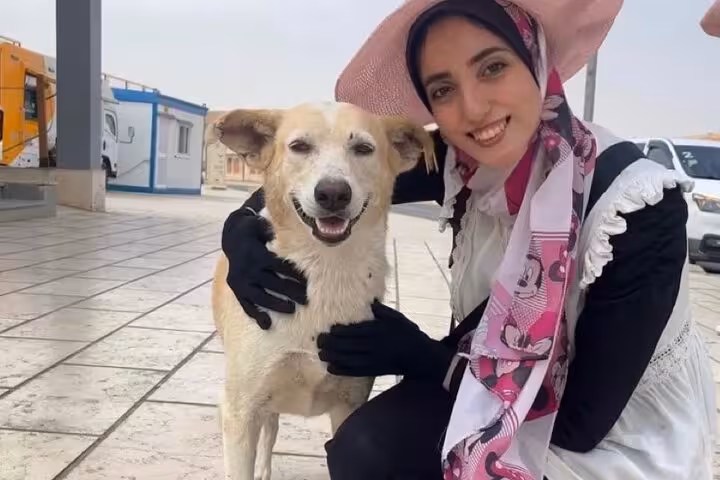 Traveler cuddles a friendly stray dog on Saqqara Dahshur Memphis day tour supporting animal rescue donation