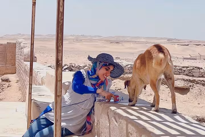 Guest feeds a stray dog in the desert on Saqqara Dahshur Memphis tour, supporting 10% donation to animals