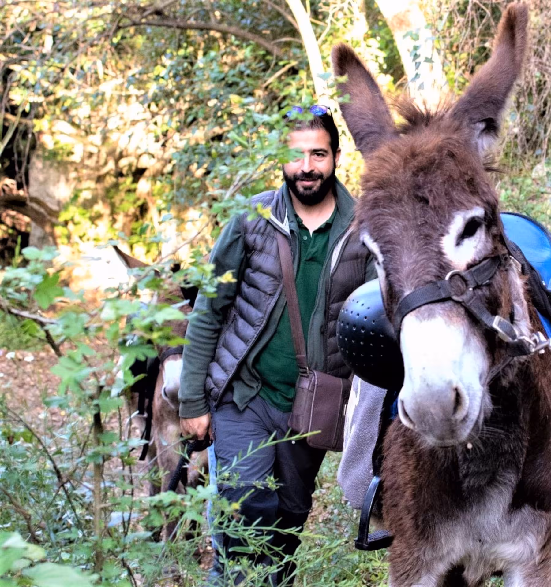 A man leads a friendly donkey through a scenic forest trail in Sassari, perfect for an adventurous hike with nature.