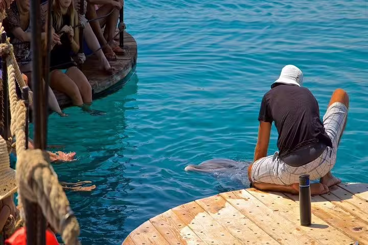 Guests on boat deck watching a dolphin in turquoise water during Satayh Dolphin Reef snorkeling excursion