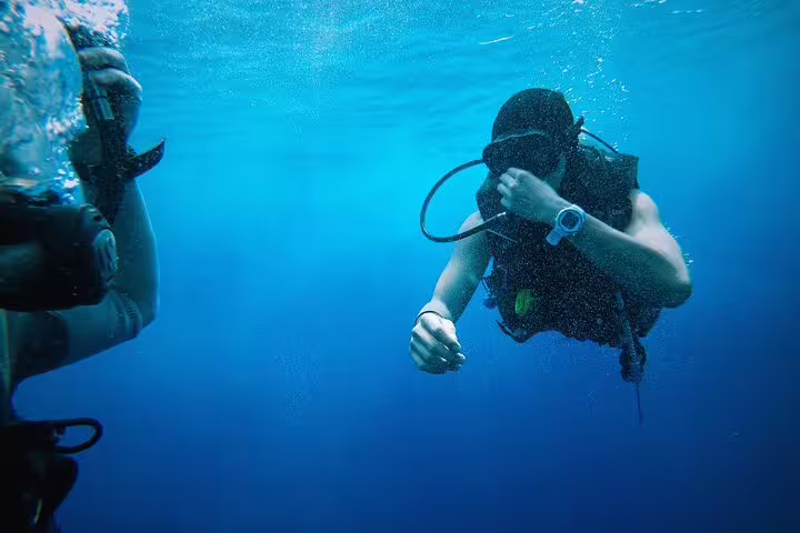 Scuba diver underwater during Satayh Dolphin Reef trip in Marsa Alam, Red Sea dolphin and reef adventure