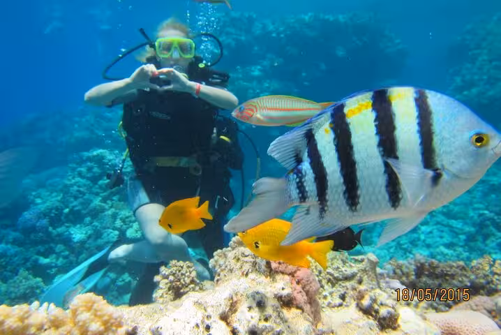 Scuba diver with tropical reef fish at Sharm El Naga, Red Sea snorkeling day trip from Hurghada