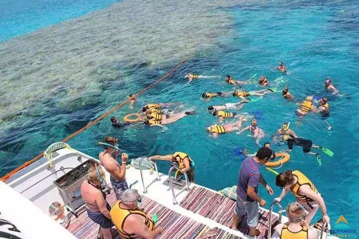 Boat stop at Sharks Bay with snorkelers and divers in clear Red Sea water above coral reef, Sharm El Sheikh trip