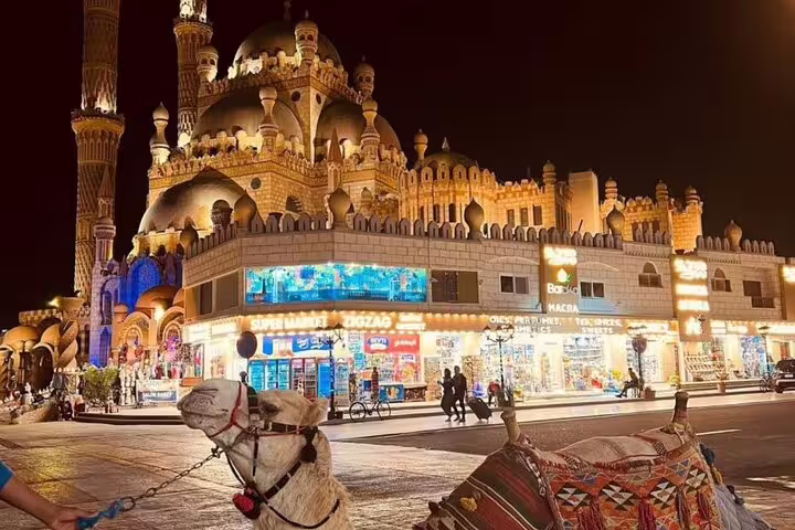 Night view of Al Sahaba Mosque and Old Market, Sharm El Sheikh VIP city tour with Egyptologist guide