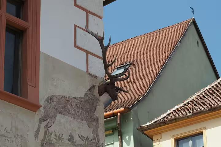 Deer head sculpture mounted on historic building wall with frescoes in Sighisoara, Transylvania