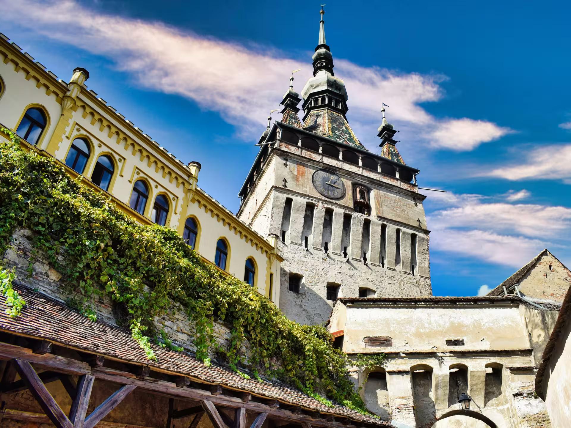 Medieval Clock Tower of Sighisoara rising above ivy-covered walls in a UNESCO Saxon town, Transylvania Romania.