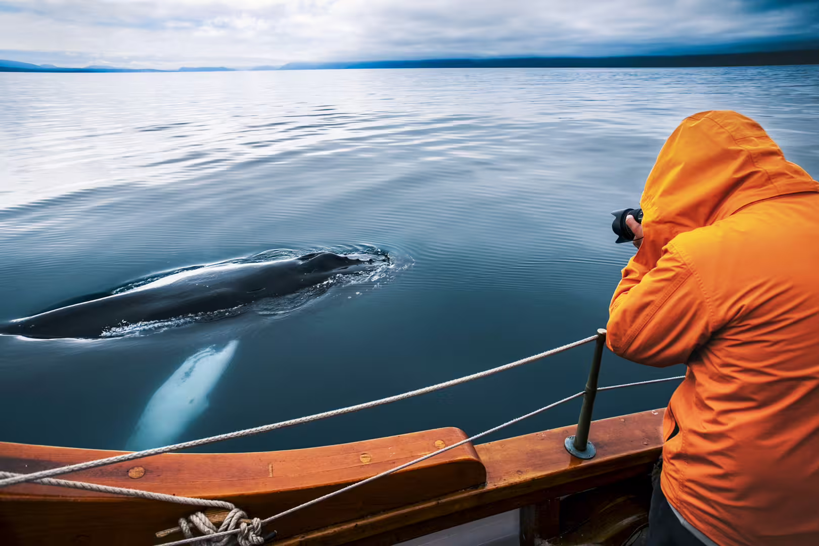 Person in orange jacket photographing a whale from a wooden boat during a serene, carbon-neutral silent whale watching tour.