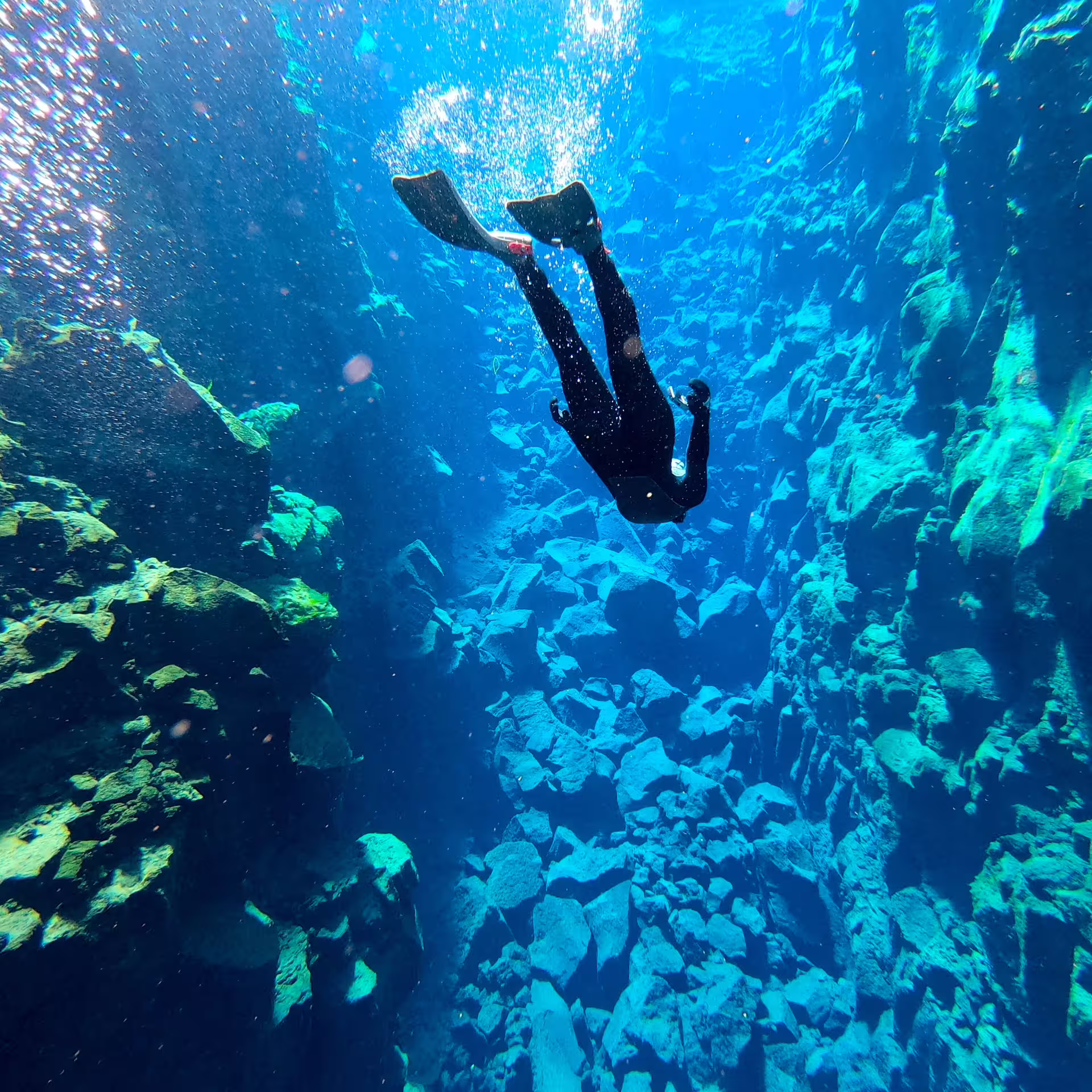 Diver explores the crystal-clear waters of Silfra Fissure, showcasing vibrant underwater landscapes in Iceland's unique snorkeling adventure.