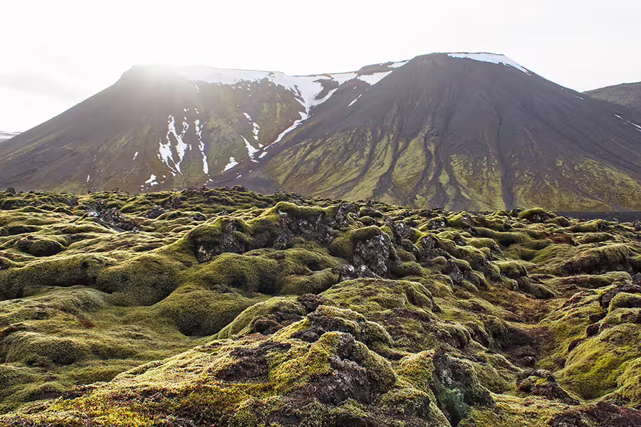 Stunning Icelandic landscape featuring moss-covered lava fields with snow-capped mountains, perfect for Silfra snorkeling and Leidarendi exploration.