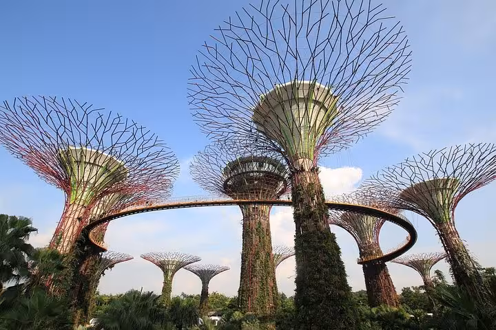 Gardens by the Bay Supertree Grove skywalk, 6-hour Singapore private car or minibus tour with driver