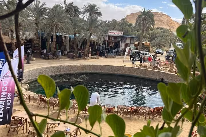Siwa Oasis spring pool café with palm trees, relaxing stop on a private 3-day Sahara safari tour