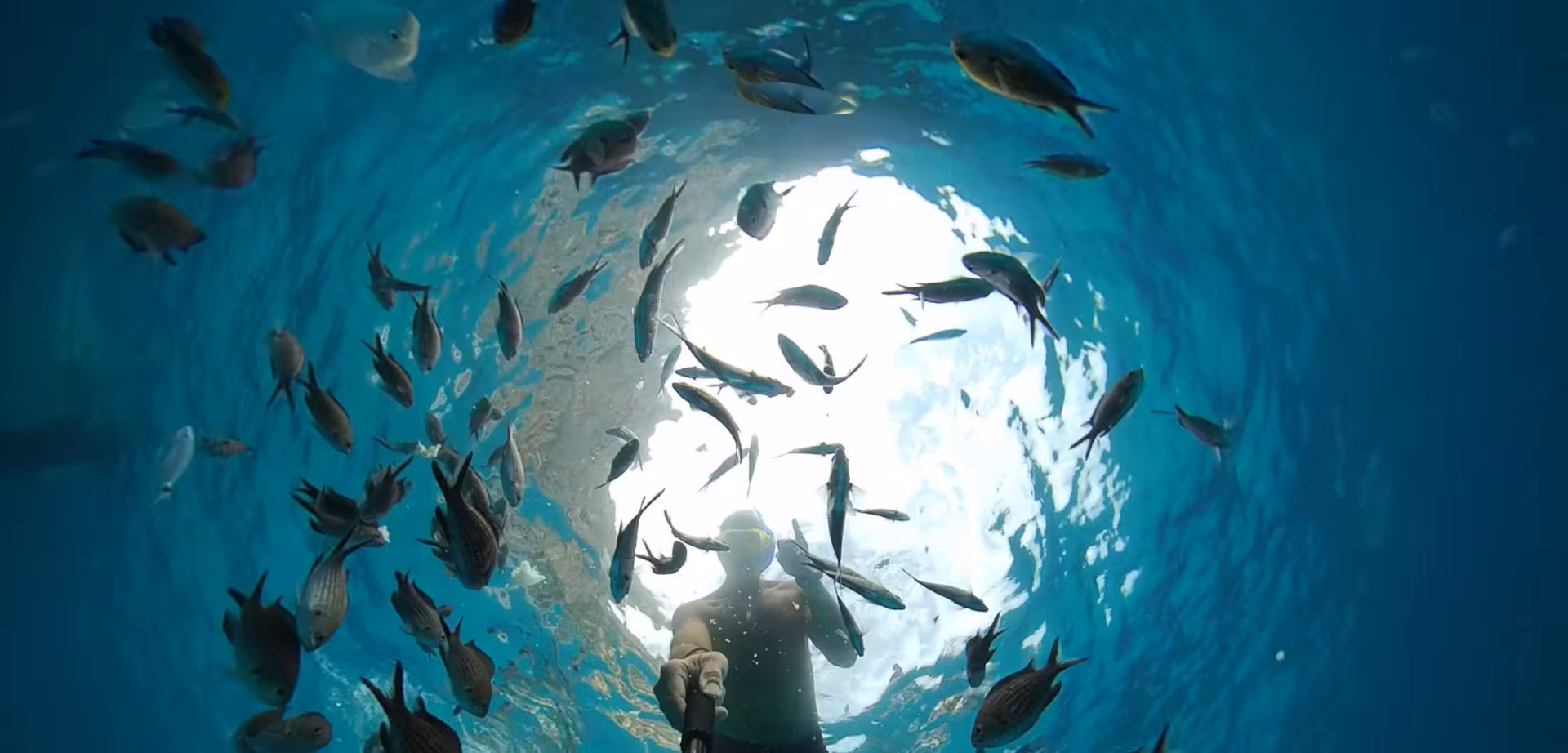 Snorkeler surrounded by fish in the sparkling waters of Cala Gonone, Gulf of Orosei adventure.