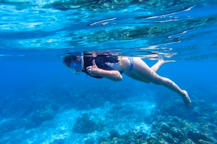Underwater snorkeler over Red Sea coral reef on Dolphin House tour from Hurghada, swim with dolphins experience